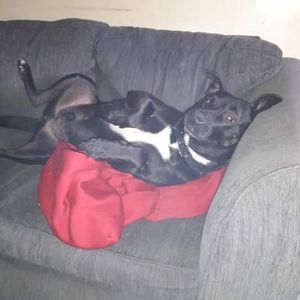 Meet your Posher, Christy